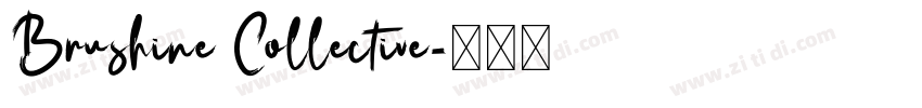 Brushine Collective字体转换 Brushine Collective字体转换
